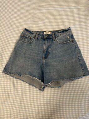 Abercrombie and Fitch Curve Love "The Dad Short"